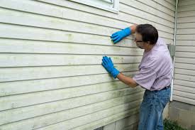 Best Insulated Siding Installation  in Dadeville, AL